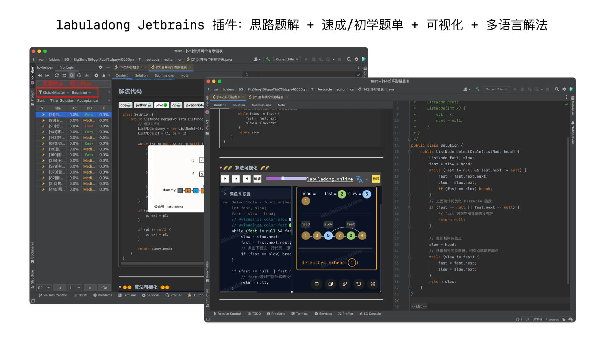 Jetbrains 刷题插件