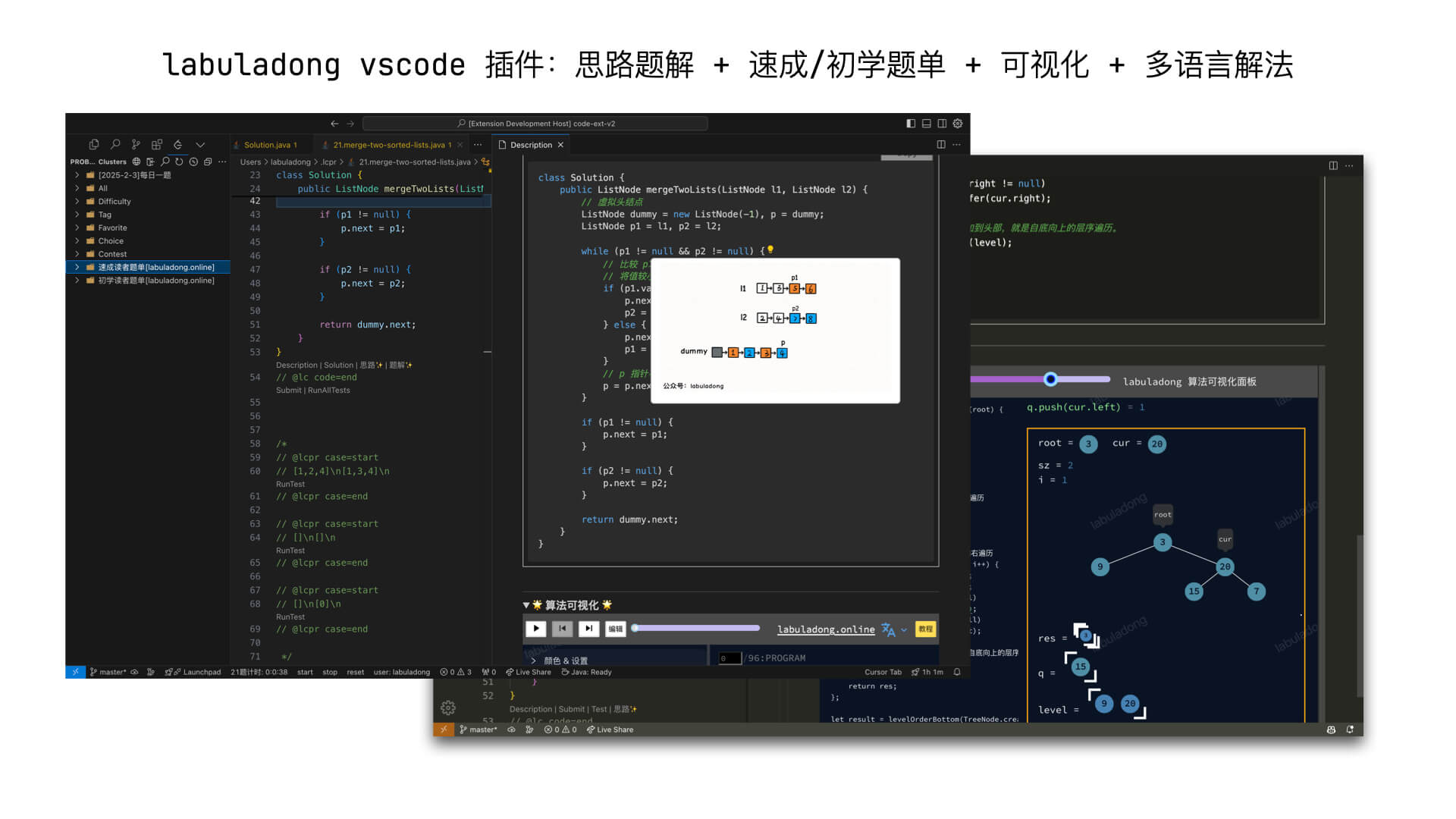 vscode 刷题插件